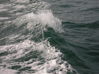 Image showing wave crest