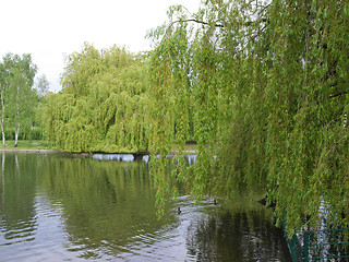 Image showing Urban Park