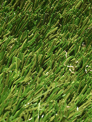 Image showing Artificial grass