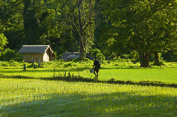 Image showing Hiker