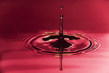 Image showing Water Droplet