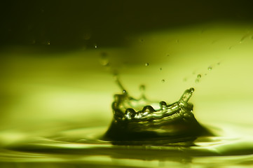 Image showing Water Droplet