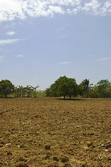 Image showing Newly tilled soil