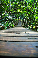 Image showing Suspension Bridge