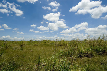 Image showing Fluffy clouds