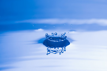 Image showing Water Droplet