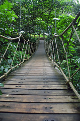 Image showing Suspension Bridge