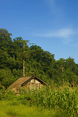 Image showing Farm House