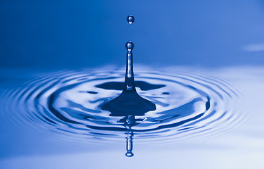 Image showing Water Droplet