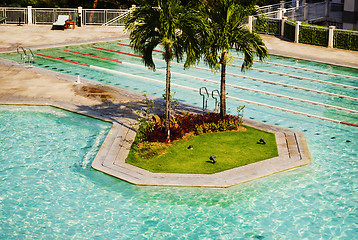 Image showing Swimming Pool