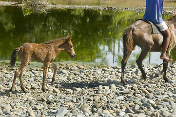 Image showing Mother and Child