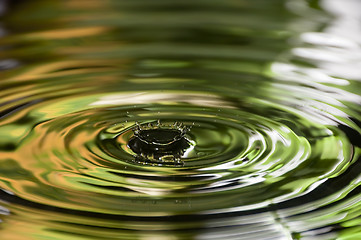 Image showing Water Droplet