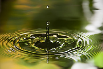 Image showing Water Droplet