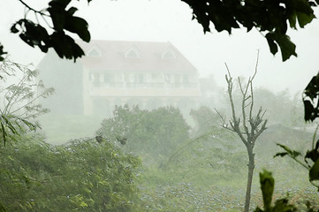 Image showing Typhoon