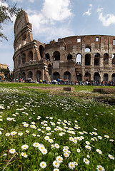 Image showing Flowers and Colosseum