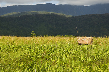 Image showing Dumagat Hut