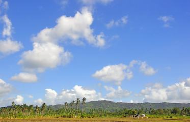 Image showing Clouds