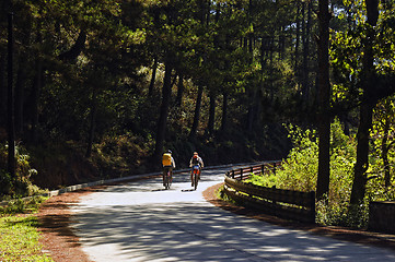 Image showing Mountain Bike Adventure