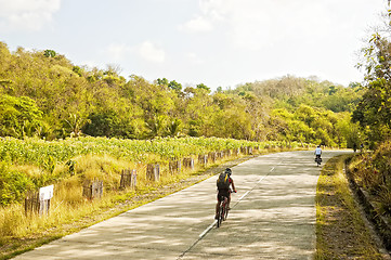 Image showing Mountain Bike Adventure