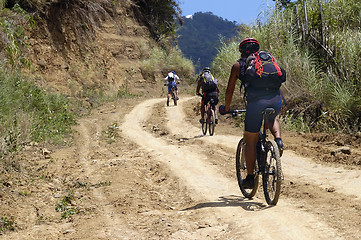 Image showing Mountain Bikers