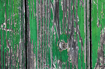 Image showing Green Crackled Wood Texture