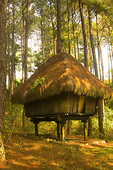 Image showing Igorot Hut