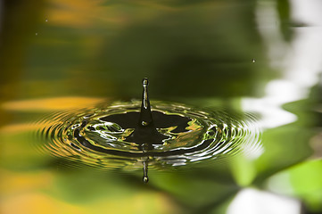 Image showing Water Droplet