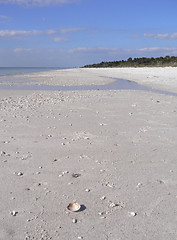 Image showing Beautiful sandy beach in Florida USA