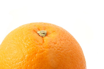 Image showing orange fruit