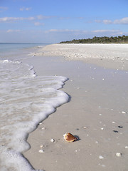 Image showing Beautiful sandy beach in Florida USA