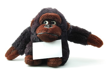 Image showing isolated teddy with blank sheet