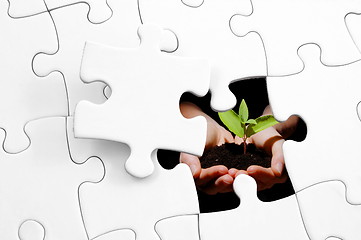 Image showing puzzle and plant