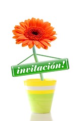 Image showing invitation