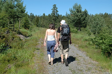 Image showing walking in the wood