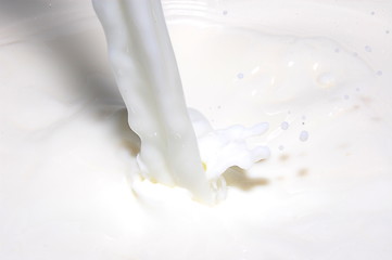 Image showing splashing milk