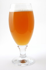 Image showing glass of beer