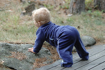 Image showing learning to walk