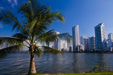 Image showing Boca grande - Cartagena de Indias