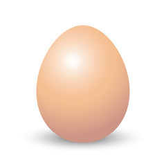 Image showing isolated brown egg