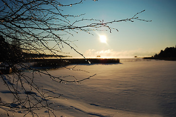Image showing Sunny winter landscape