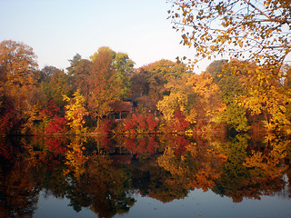 Image showing Autumn