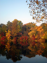 Image showing Autumn