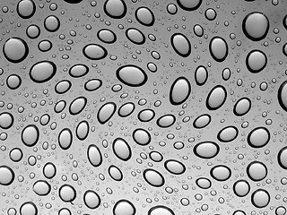 Image showing Water Drops