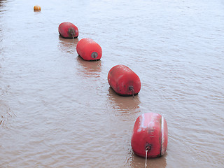 Image showing Life buoy in water