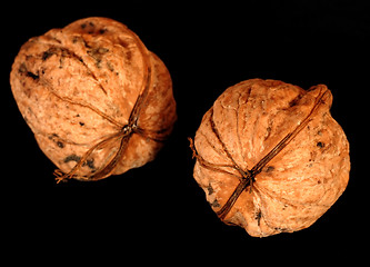 Image showing Walnuts