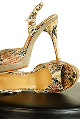 Image showing Fashionable shoes
