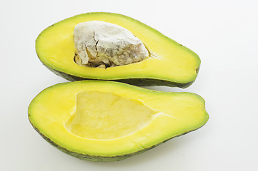 Image showing Avocado