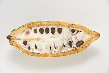 Image showing Cacao Fruit