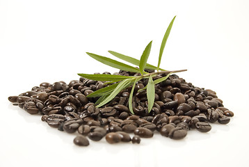 Image showing Coffee Beans