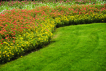 Image showing Flowers